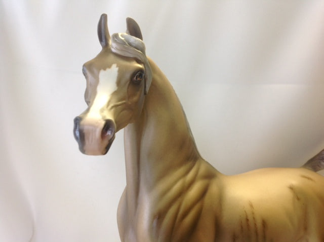CANNOLI - Chestnut Rabicano Arabian 1/15