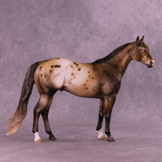 Pine OOAK Ideal Stock Horse by Julie Keim HS25
