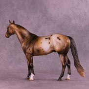 Pine OOAK Ideal Stock Horse by Julie Keim HS25