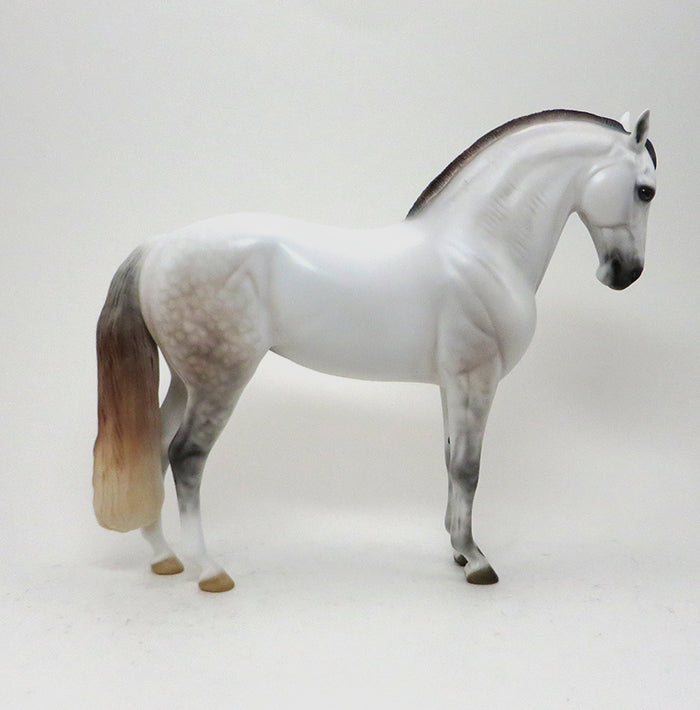 DAPPLE ANDALUSIAN