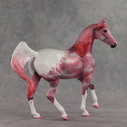 Pink Skies OOAK FCM Arabian Mare by Dawn Quick VV26