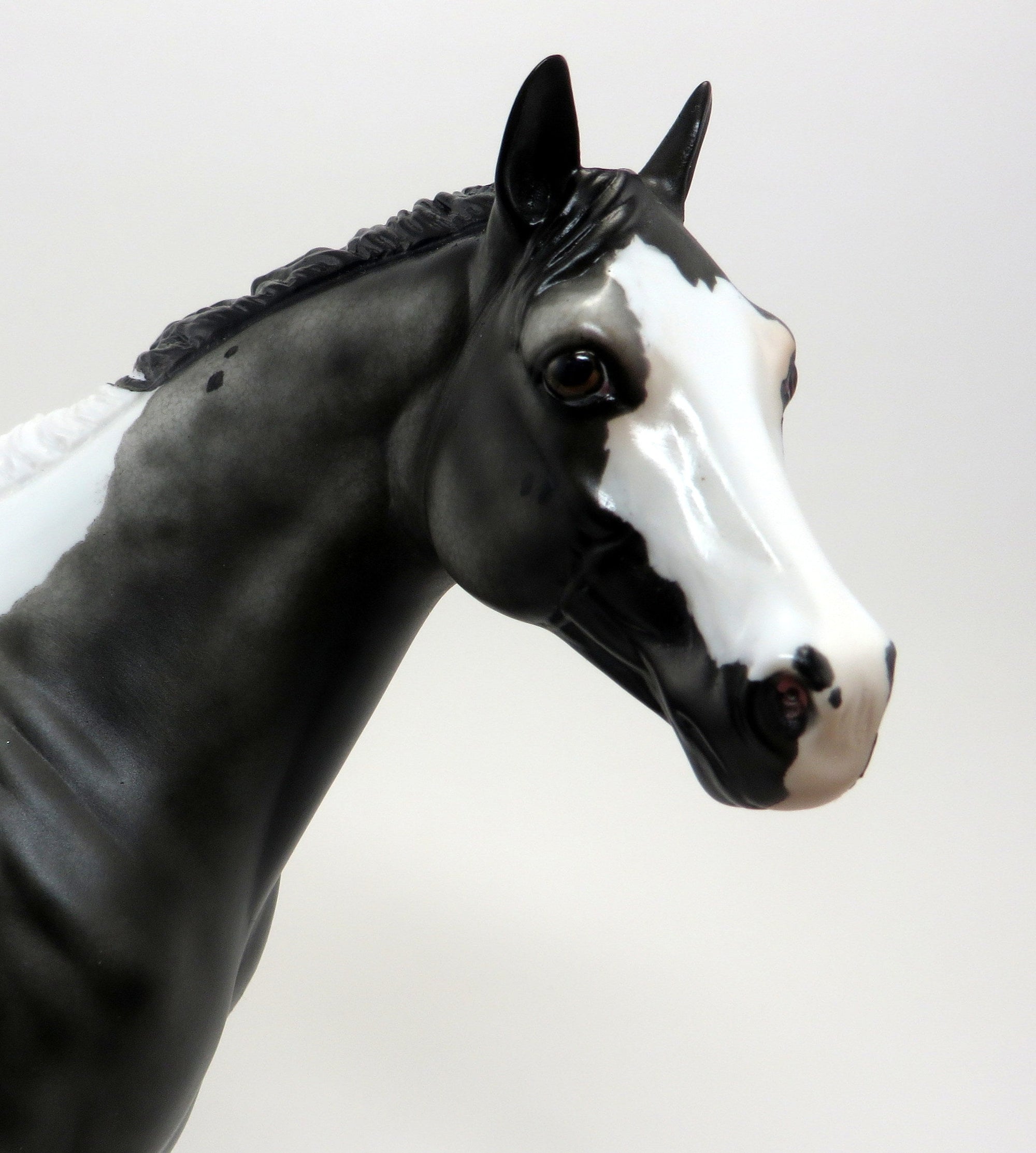 HANG TEN- PINTALOOSA ISH-OOAK- 9/23