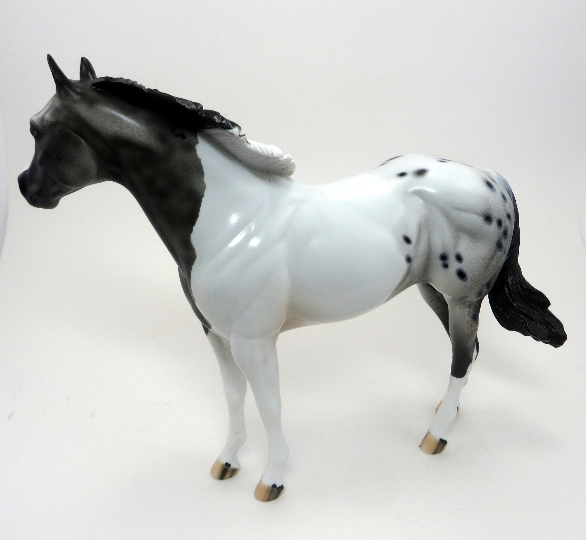 HANG TEN- PINTALOOSA ISH-OOAK- 9/23