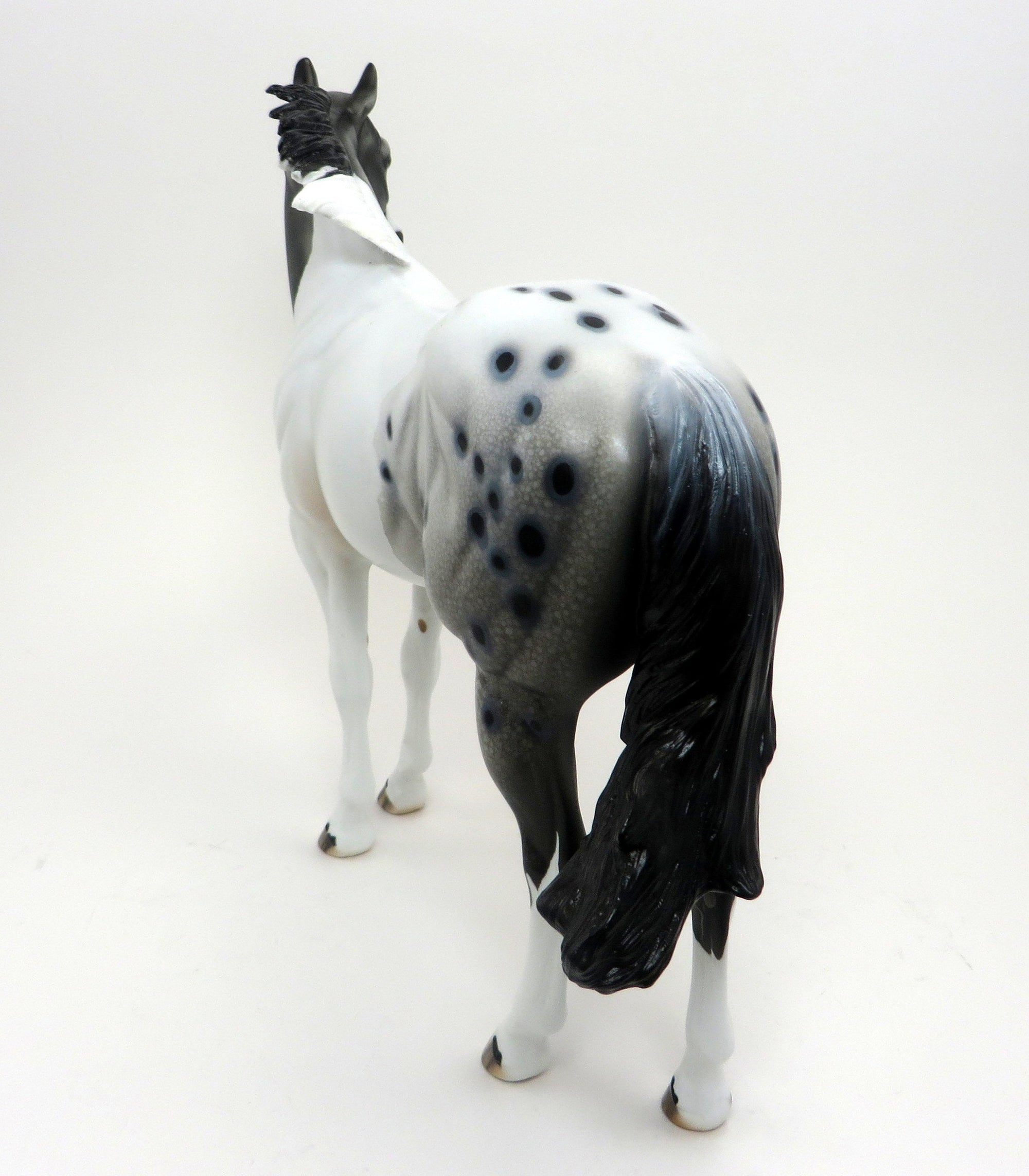 HANG TEN- PINTALOOSA ISH-OOAK- 9/23