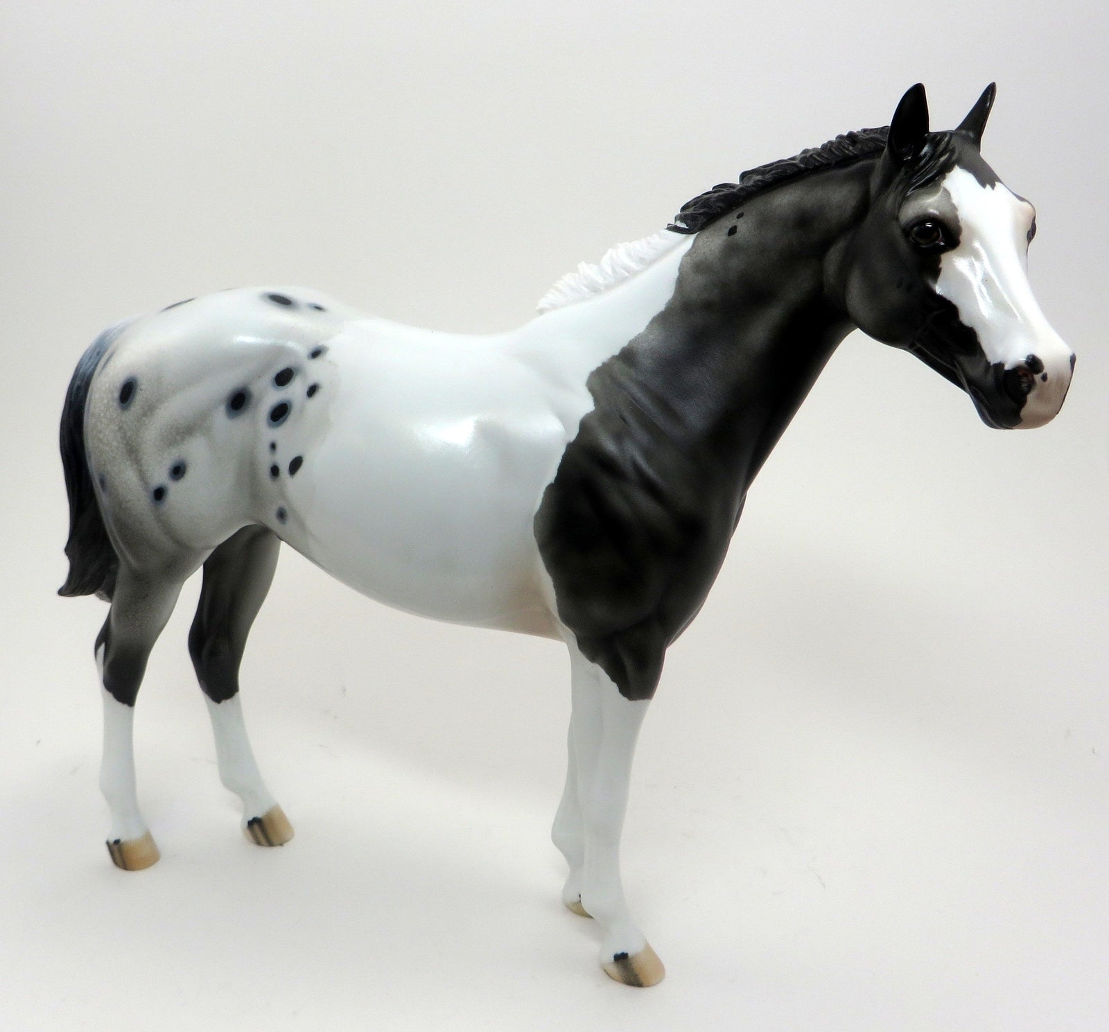 HANG TEN- PINTALOOSA ISH-OOAK- 9/23