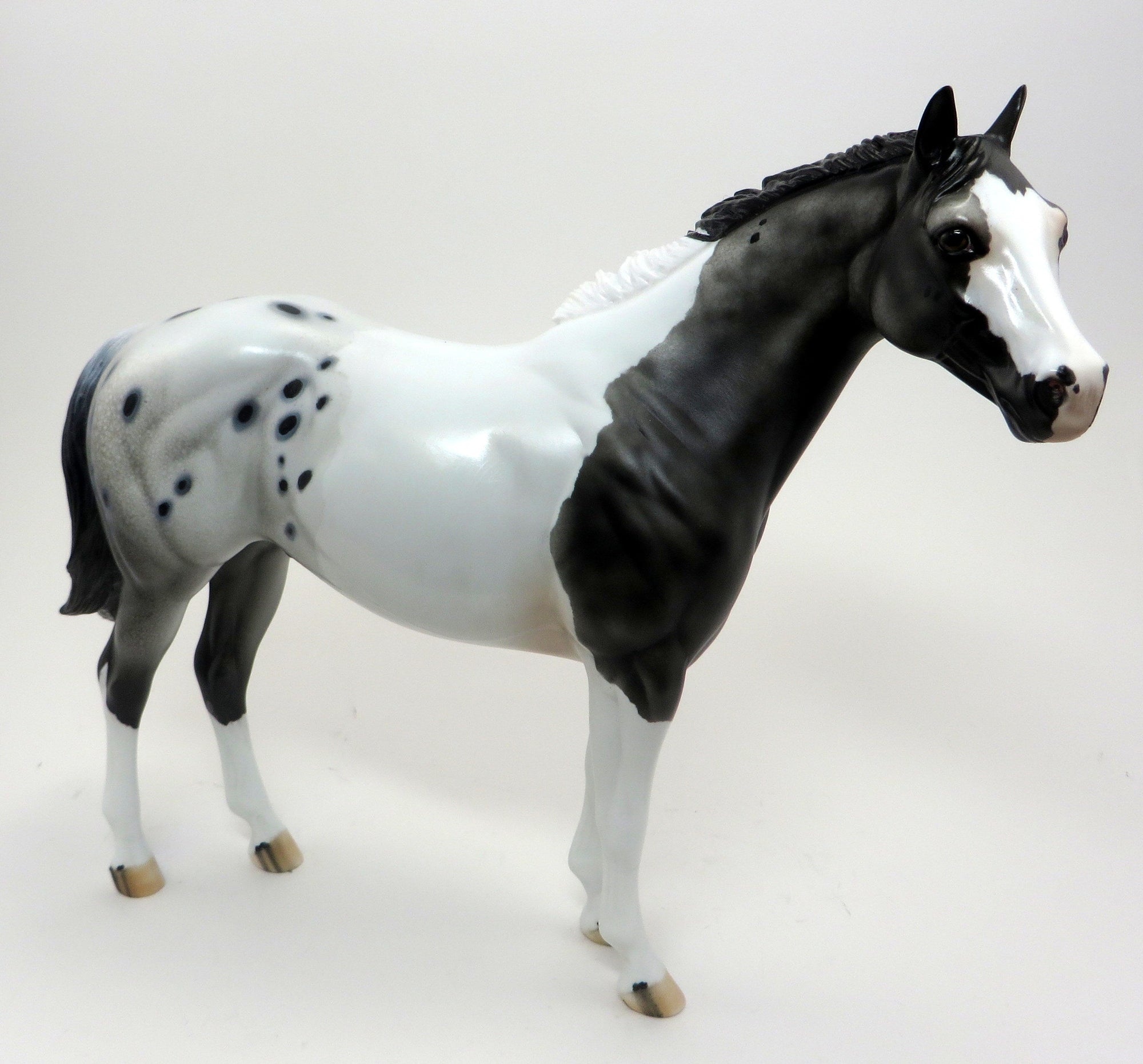 HANG TEN- PINTALOOSA ISH-OOAK- 9/23