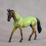 Pistachio OOAK Chip Warmblood by Alex Fortman SCD26