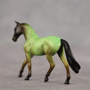 Pistachio OOAK Chip Warmblood by Alex Fortman SCD26