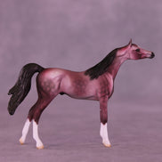 Plum Pudding OOAK Chip Arabian by Dawn Quick VV26