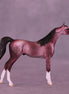 Plum Pudding OOAK Chip Arabian by Dawn Quick VV26