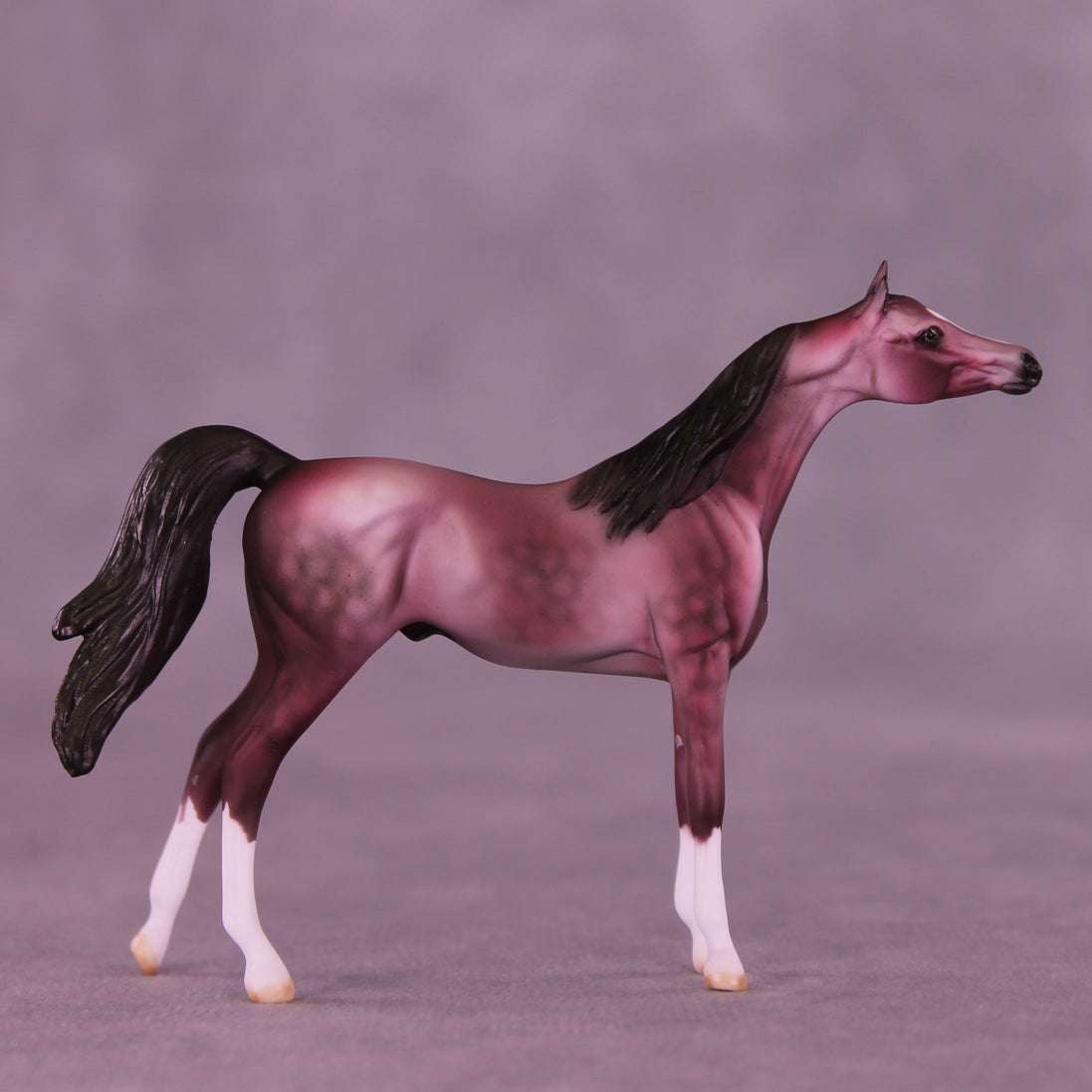 Plum Pudding OOAK Chip Arabian by Dawn Quick VV26