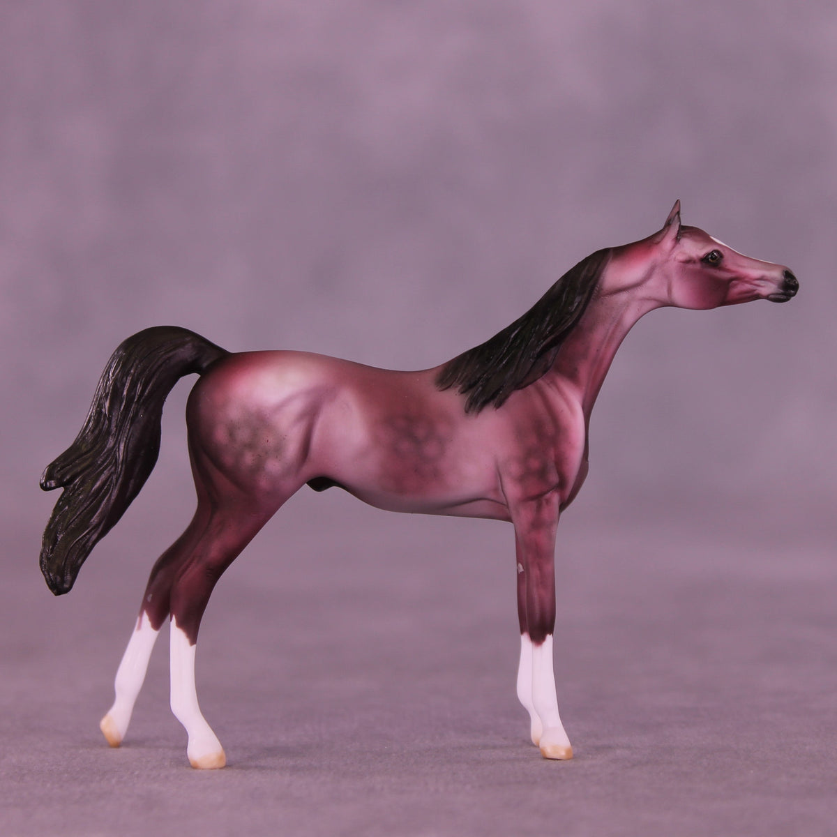 Plum Pudding OOAK Chip Arabian by Dawn Quick VV26