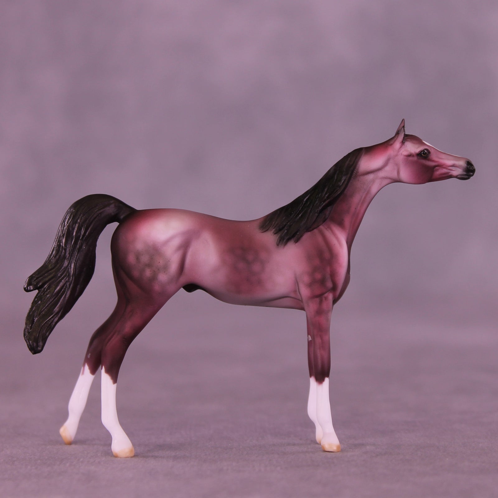 Plum Pudding OOAK Chip Arabian by Dawn Quick VV26