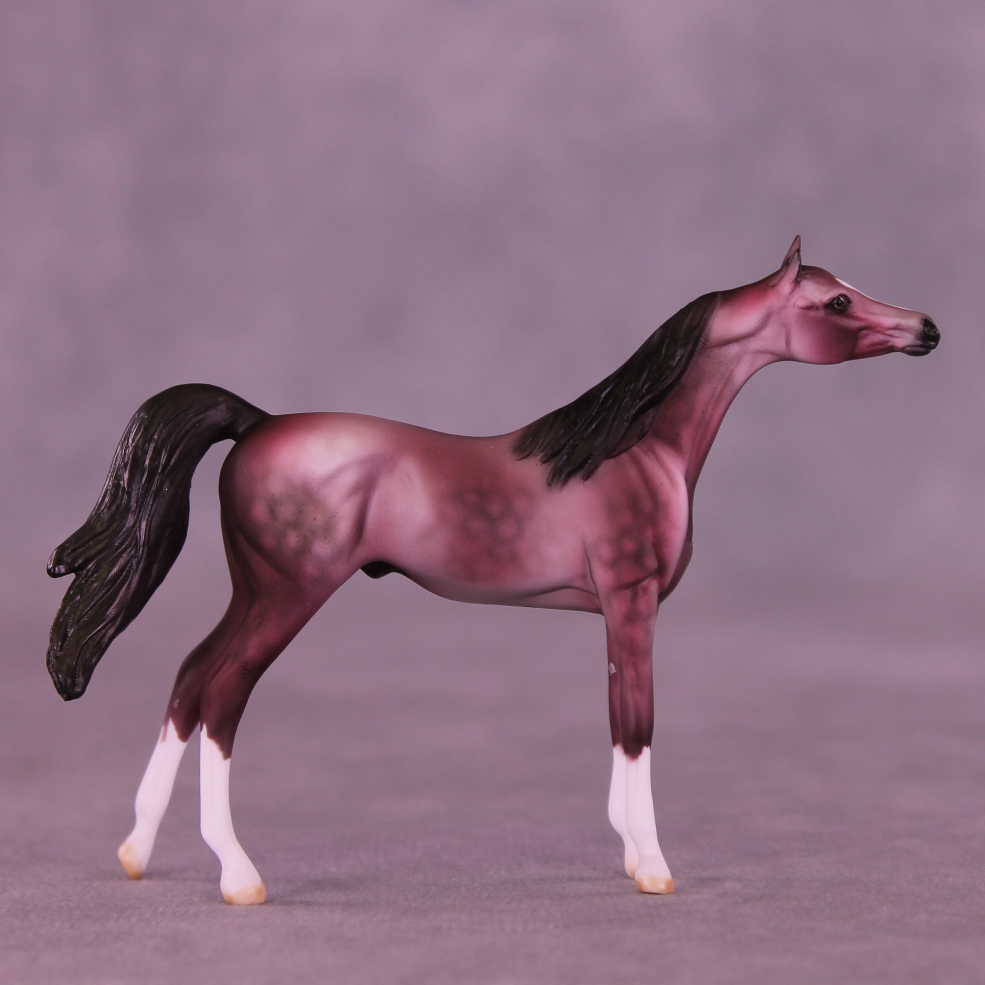 Plum Pudding OOAK Chip Arabian by Dawn Quick VV26
