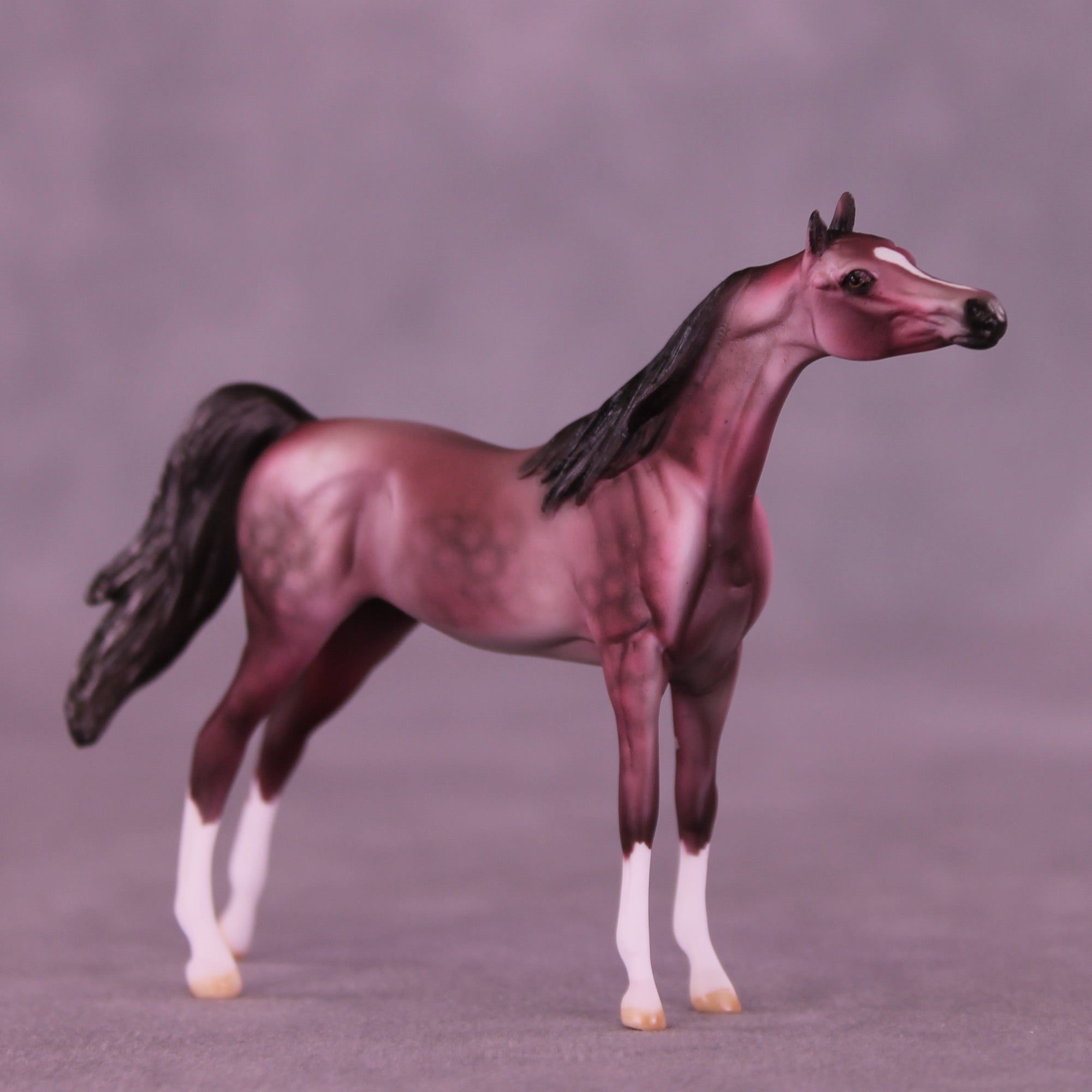 Plum Pudding OOAK Chip Arabian by Dawn Quick VV26