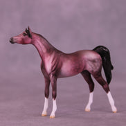 Plum Pudding OOAK Chip Arabian by Dawn Quick VV26