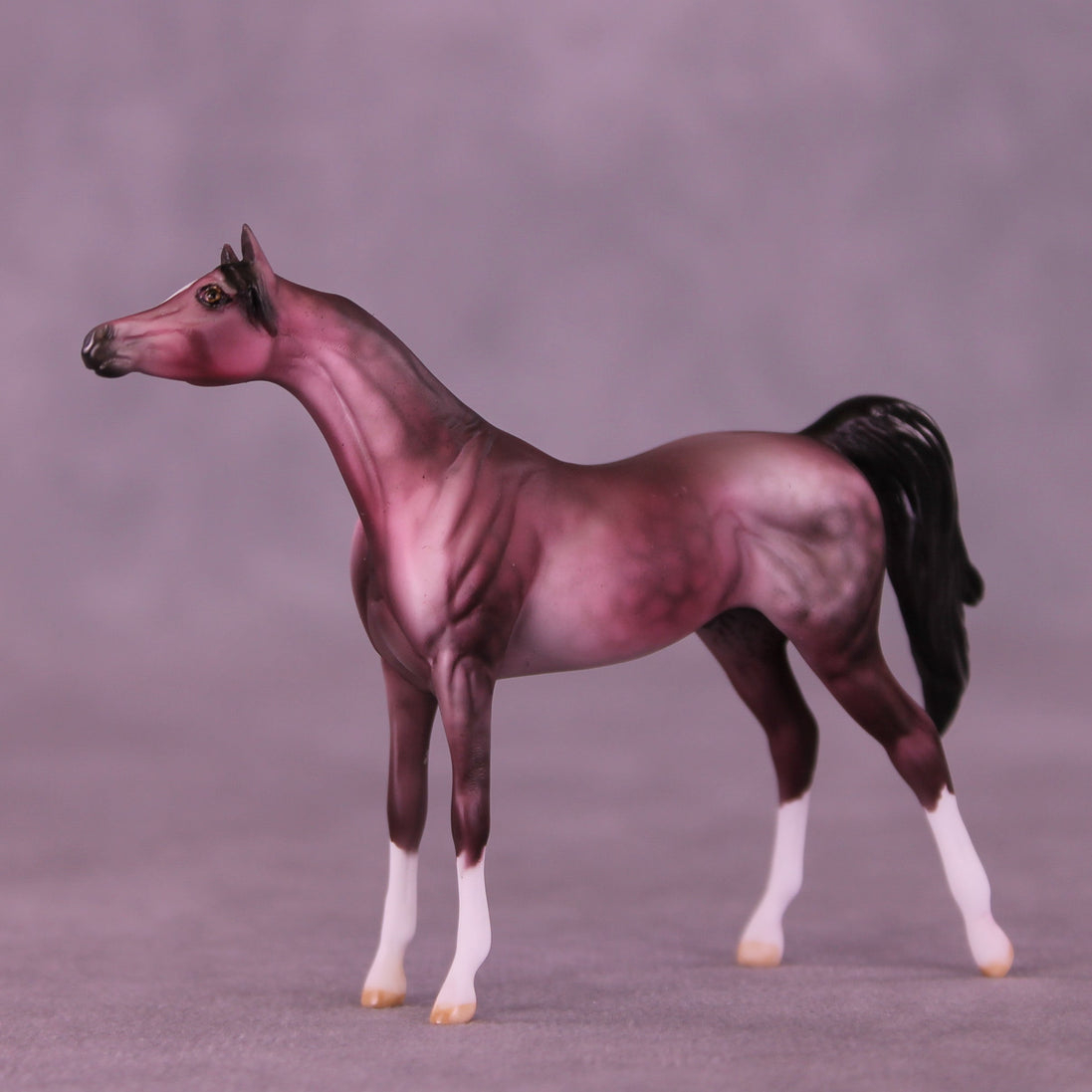 Plum Pudding OOAK Chip Arabian by Dawn Quick VV26