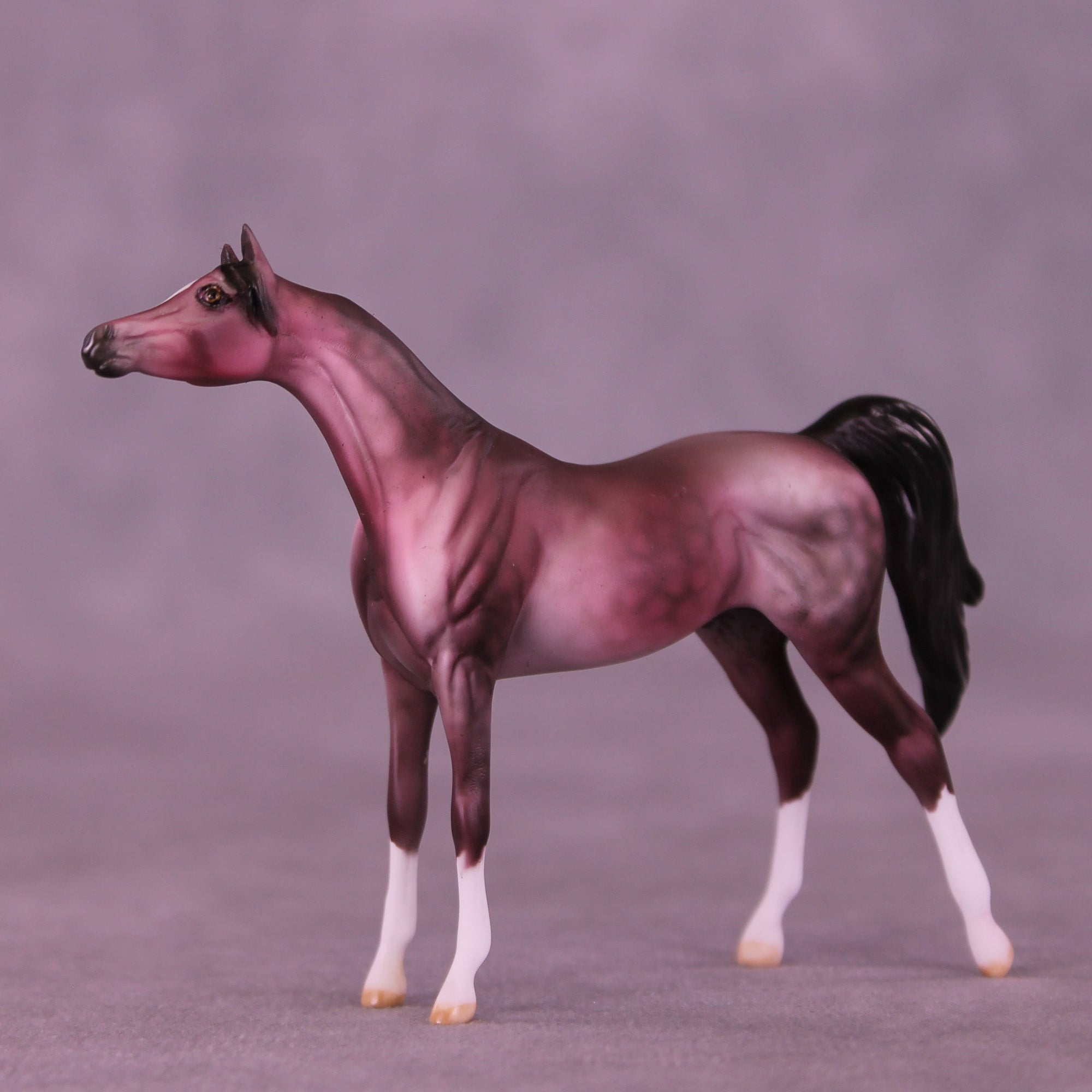 Plum Pudding OOAK Chip Arabian by Dawn Quick VV26