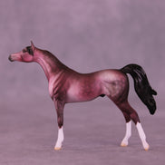 Plum Pudding OOAK Chip Arabian by Dawn Quick VV26