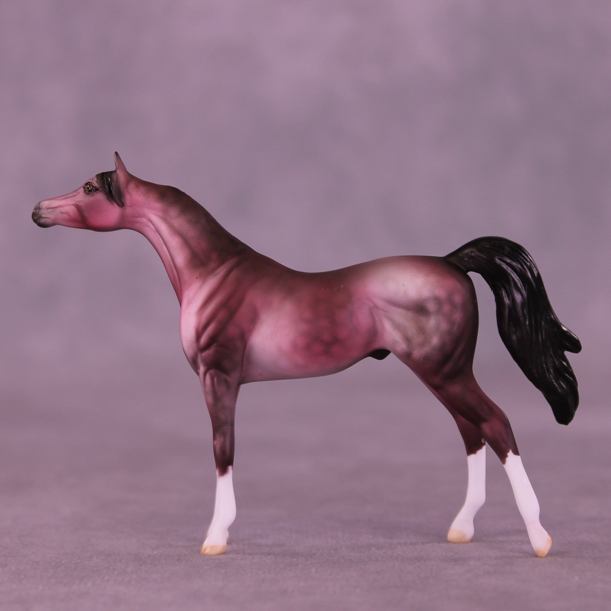 Plum Pudding OOAK Chip Arabian by Dawn Quick VV26