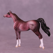 Plum Pudding OOAK Chip Arabian by Dawn Quick VV26