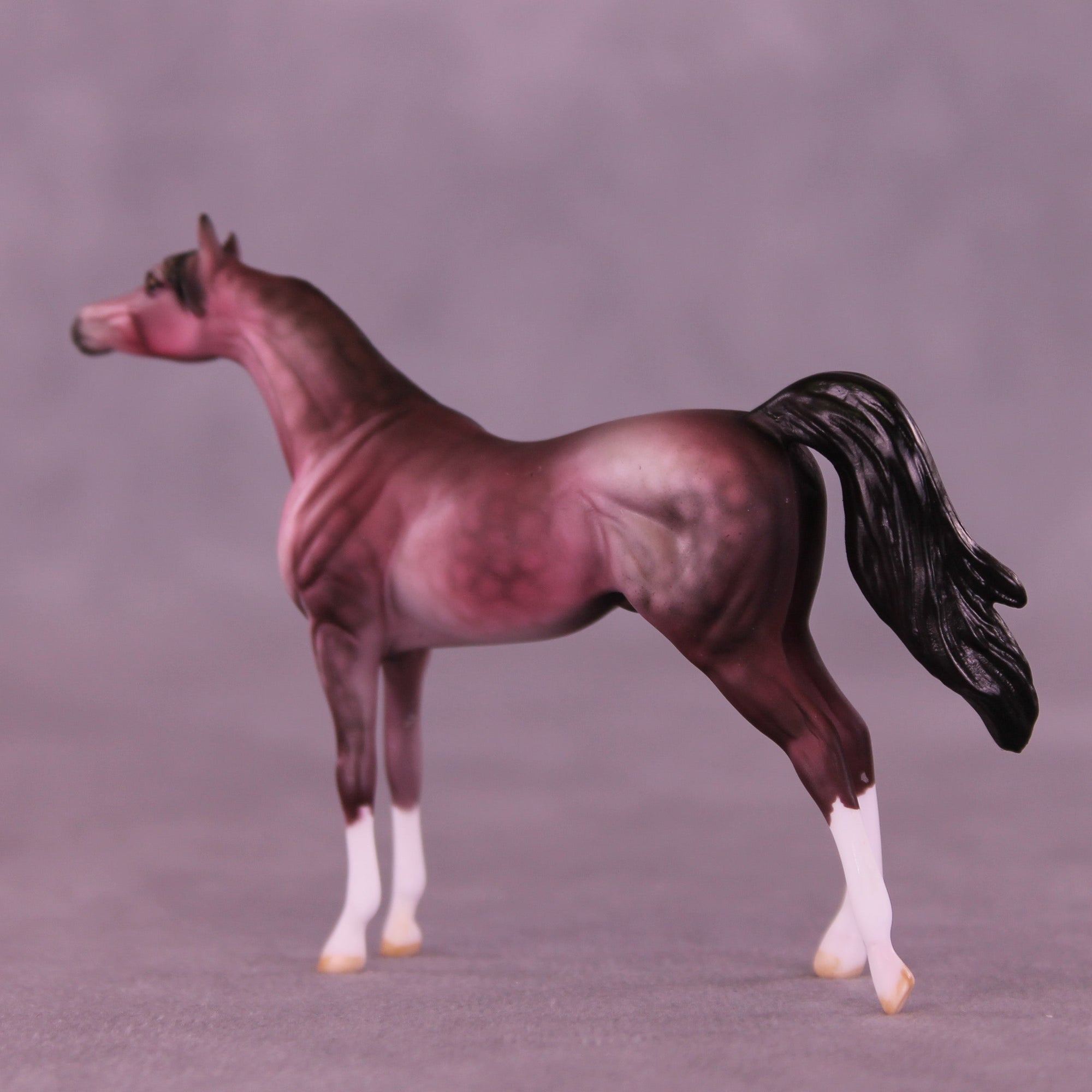 Plum Pudding OOAK Chip Arabian by Dawn Quick VV26