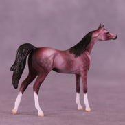 Plum Pudding OOAK Chip Arabian by Dawn Quick VV26