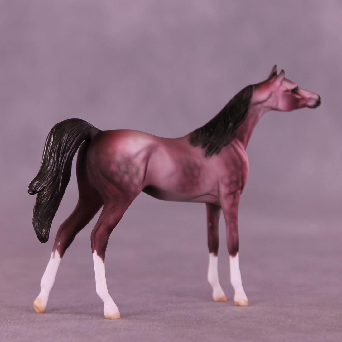 Plum Pudding OOAK Chip Arabian by Dawn Quick VV26
