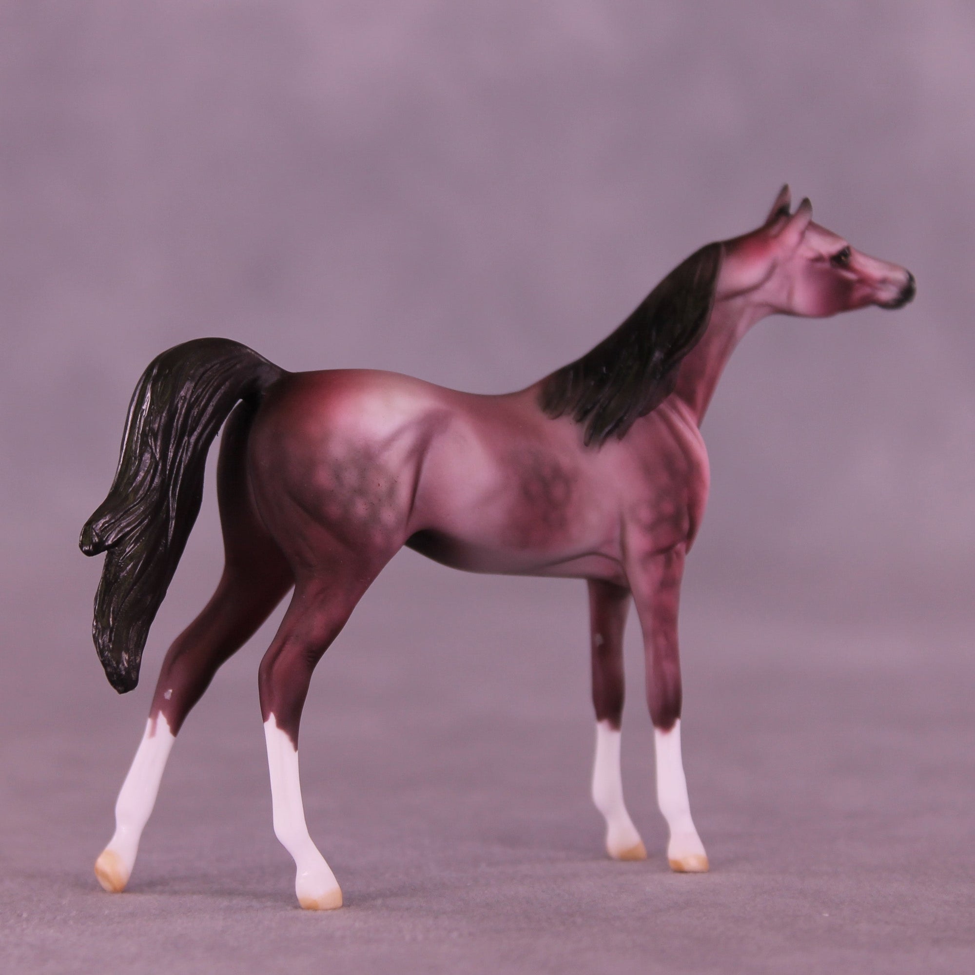 Plum Pudding OOAK Chip Arabian by Dawn Quick VV26