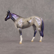 Polaris OOAK Chip Stock Horse by Jess Hamill SCD26