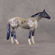 Polaris OOAK Chip Stock Horse by Jess Hamill SCD26