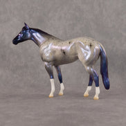 Polaris OOAK Chip Stock Horse by Jess Hamill SCD26