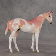 Polly OOAK Stock Horse Weanling by Jess Hamill VV26