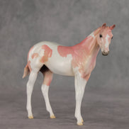 Polly OOAK Stock Horse Weanling by Jess Hamill VV26
