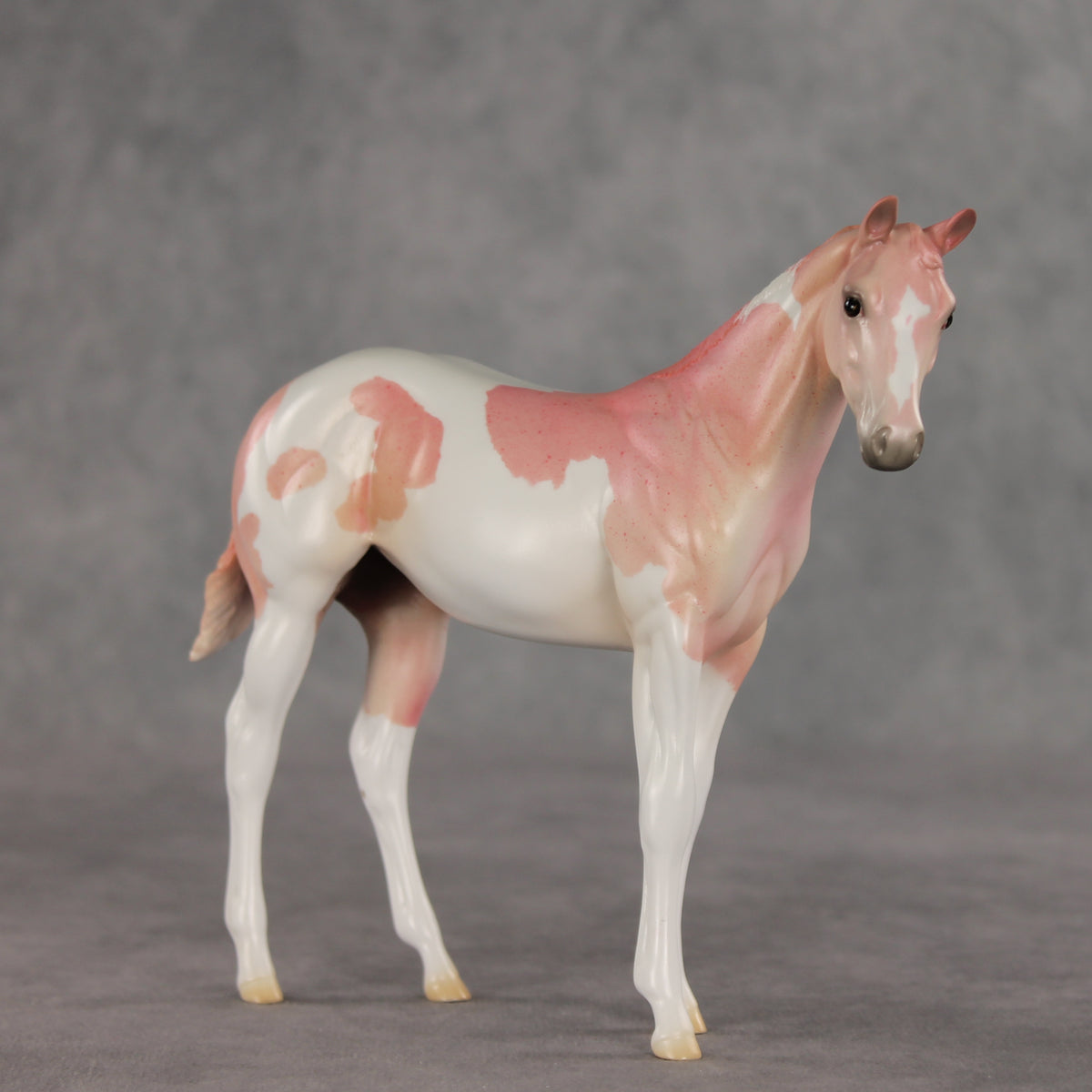 Polly OOAK Stock Horse Weanling by Jess Hamill VV26