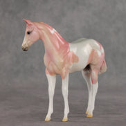 Polly OOAK Stock Horse Weanling by Jess Hamill VV26