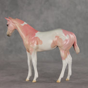 Polly OOAK Stock Horse Weanling by Jess Hamill VV26