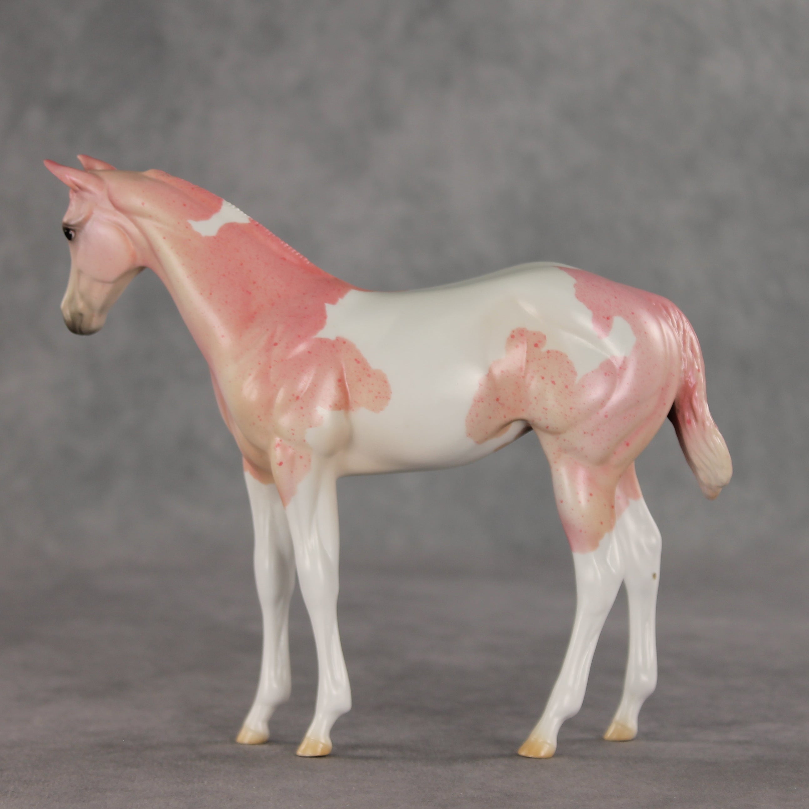 Polly OOAK Stock Horse Weanling by Jess Hamill VV26