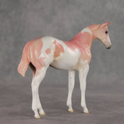 Polly OOAK Stock Horse Weanling by Jess Hamill VV26