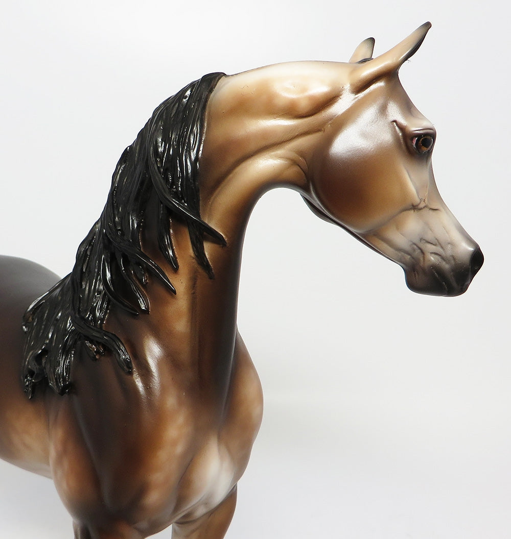 POMPEY&#39;S PILLAR~OOAK DAPPLE BAY ARABIAN MODEL HORSE EQ 2017