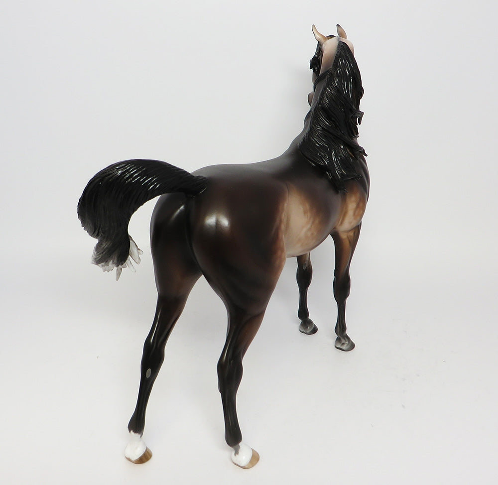 POMPEY&#39;S PILLAR~OOAK DAPPLE BAY ARABIAN MODEL HORSE EQ 2017
