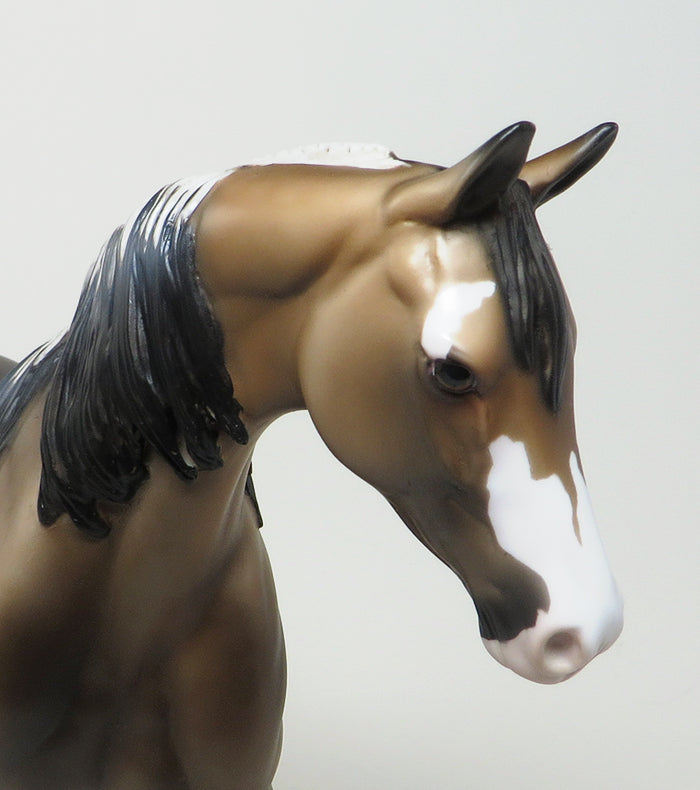 Custom Model Horse