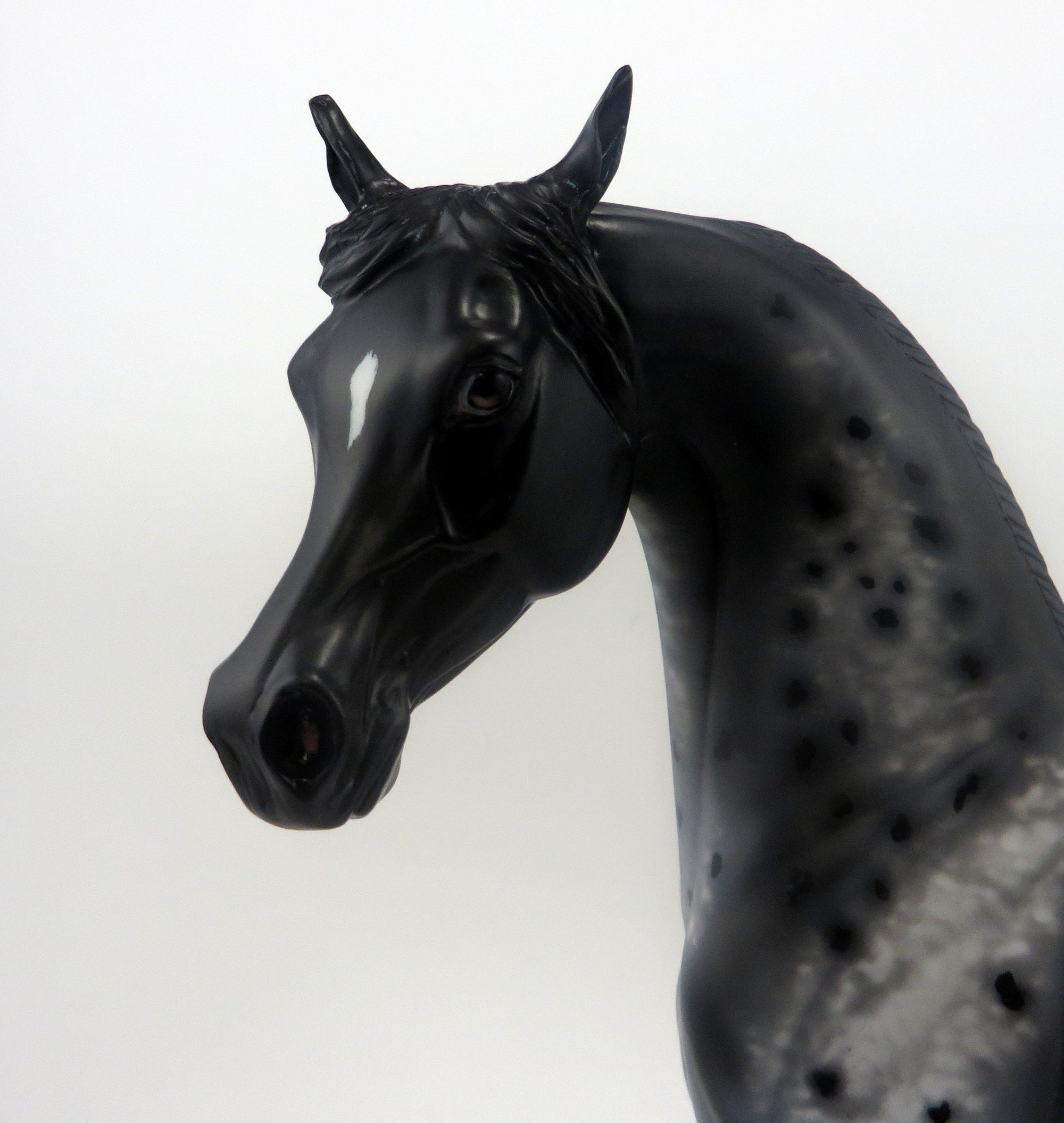 ROCKIN POP STAR - OOAK APPALOOSA ARABIAN HORSE - 9/23