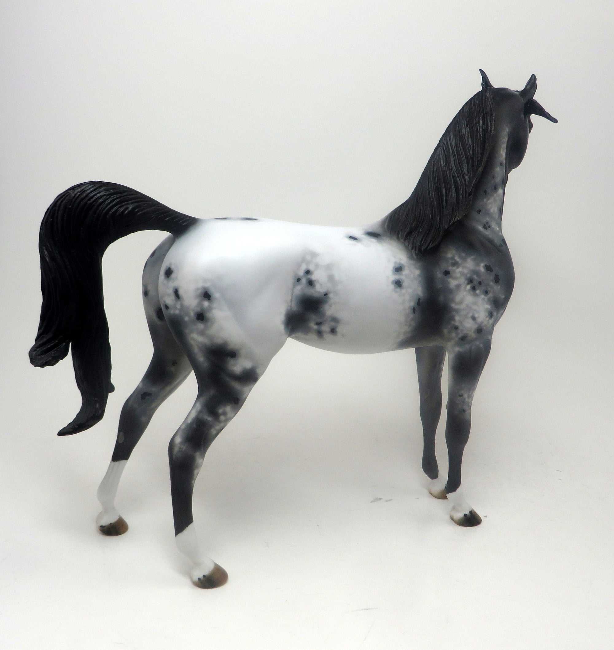 ROCKIN POP STAR - OOAK APPALOOSA ARABIAN HORSE - 9/23