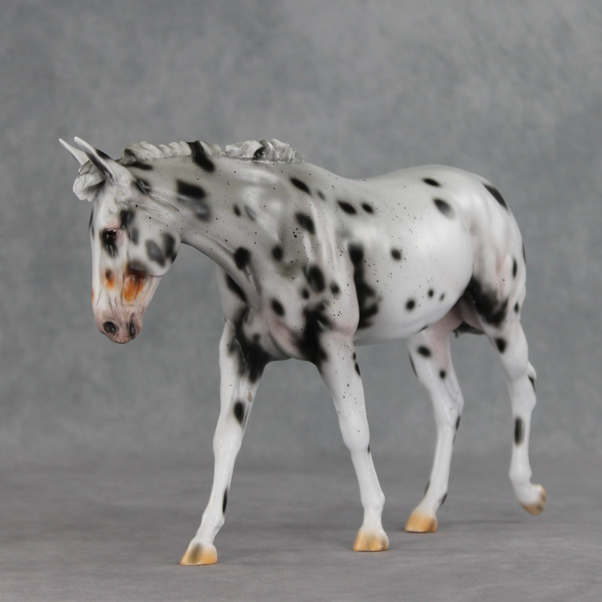 SAMPLE Potion LE-10 FCM Large Mule by Carissa Mathews SS0826