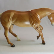 MOUNT CARMEL - Model Performance Horse