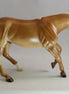 MOUNT CARMEL - Model Performance Horse