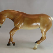 MOUNT CARMEL - Model Performance Horse