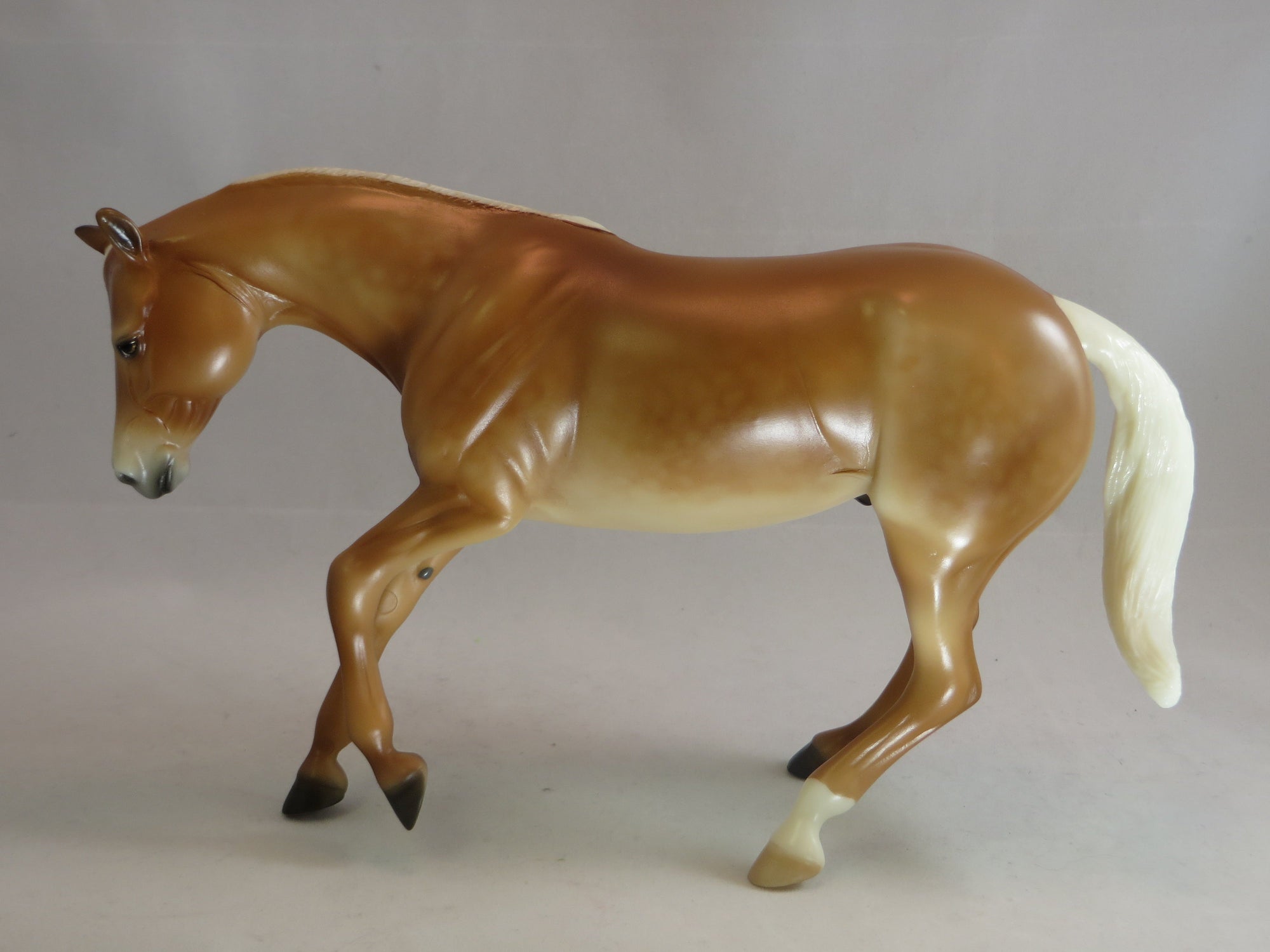 MOUNT CARMEL - Model Performance Horse