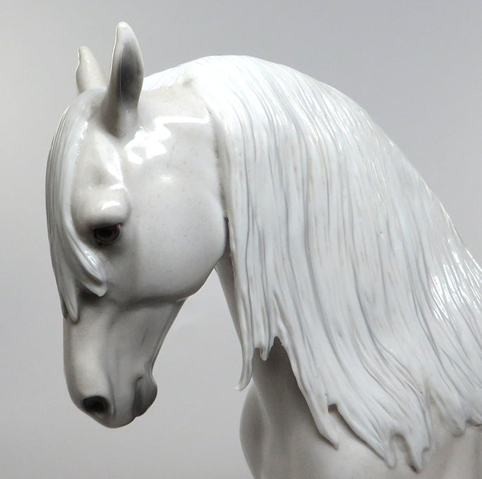 PRINCE CASPIAN-LE-5-BLOODY SHOULDER ANDALUSIAN MODEL HORSE EQ 2016 7/28